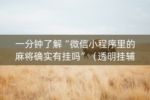 一分钟了解“微信小程序里的麻将确实有挂吗”（透明挂辅助器)