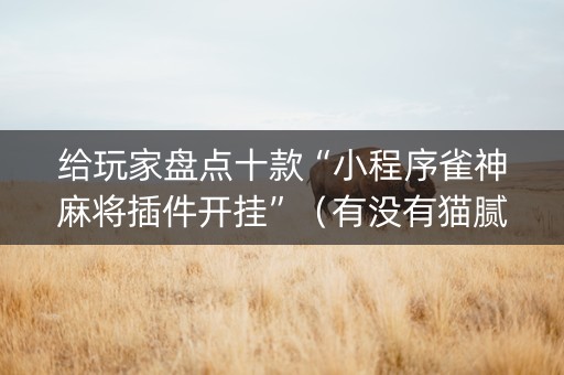 给玩家盘点十款“小程序雀神麻将插件开挂”（有没有猫腻)