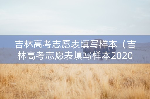 吉林高考志愿表填写样本（吉林高考志愿表填写样本2020）