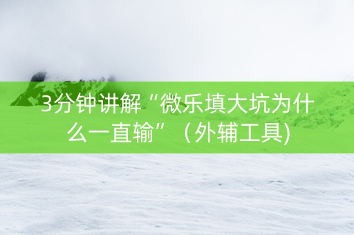 3分钟讲解“微乐填大坑为什么一直输”（外辅工具)
