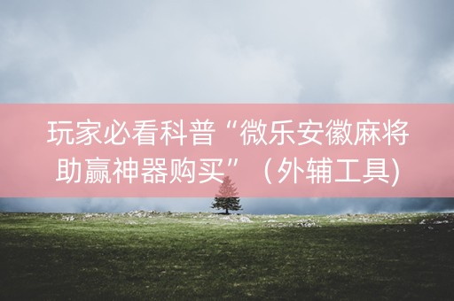 玩家必看科普“微乐安徽麻将助赢神器购买”（外辅工具)