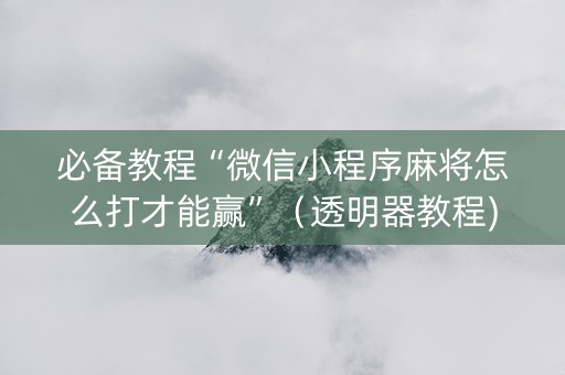 必备教程“微信小程序麻将怎么打才能赢”（透明器教程)