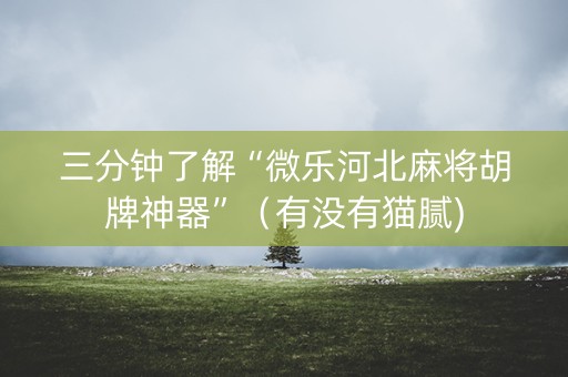 三分钟了解“微乐河北麻将胡牌神器”（有没有猫腻)