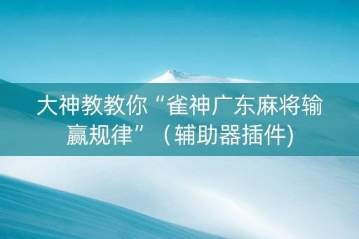 大神教教你“雀神广东麻将输赢规律”（辅助器插件)