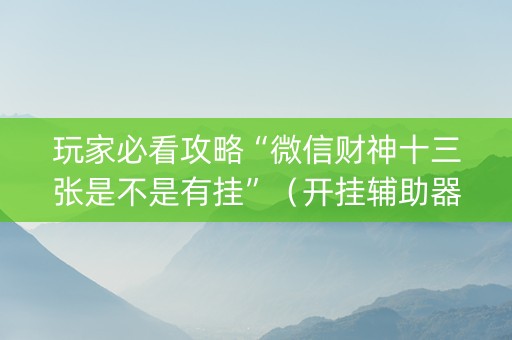 玩家必看攻略“微信财神十三张是不是有挂”（开挂辅助器插件)