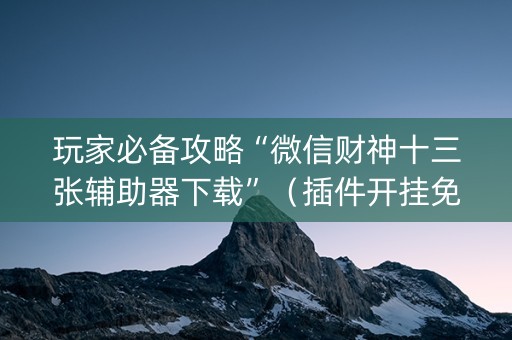 玩家必备攻略“微信财神十三张辅助器下载”（插件开挂免费AI)