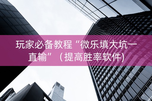 玩家必备教程“微乐填大坑一直输”（提高胜率软件)