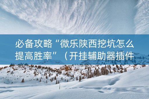必备攻略“微乐陕西挖坑怎么提高胜率”（开挂辅助器插件)