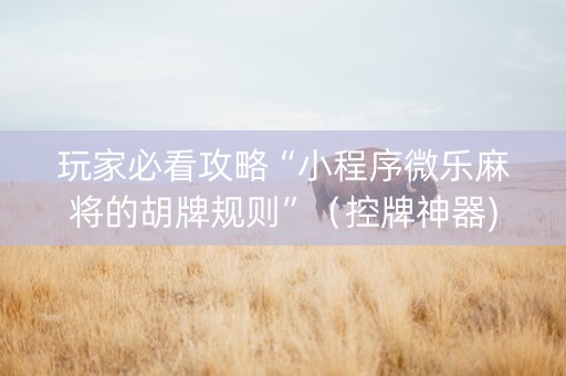 玩家必看攻略“小程序微乐麻将的胡牌规则”（控牌神器)