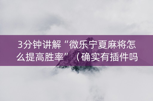 3分钟讲解“微乐宁夏麻将怎么提高胜率”（确实有插件吗)