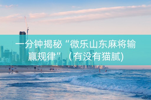 一分钟揭秘“微乐山东麻将输赢规律”（有没有猫腻)