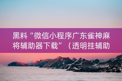 黑料“微信小程序广东雀神麻将辅助器下载”（透明挂辅助器)