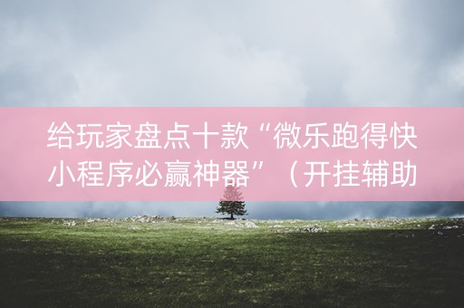 给玩家盘点十款“微乐跑得快小程序必赢神器”（开挂辅助插件)