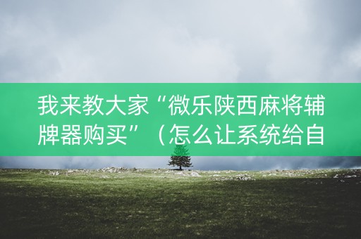 我来教大家“微乐陕西麻将辅牌器购买”（怎么让系统给自己好牌)