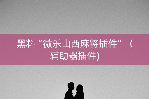 黑料“微乐山西麻将插件”（辅助器插件)