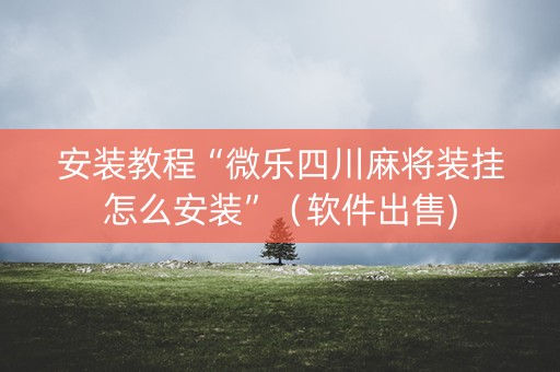 安装教程“微乐四川麻将装挂怎么安装”（软件出售)
