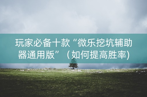 玩家必备十款“微乐挖坑辅助器通用版”（如何提高胜率)