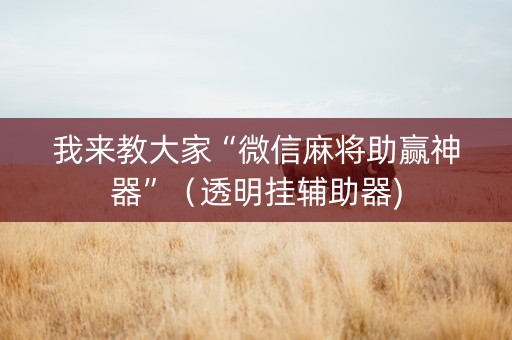 我来教大家“微信麻将助赢神器”（透明挂辅助器)