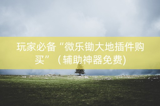 玩家必备“微乐锄大地插件购买”（辅助神器免费)