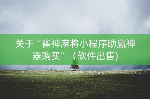 关于“雀神麻将小程序助赢神器购买”（软件出售)