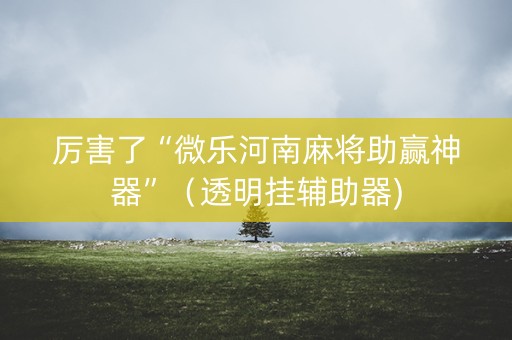 厉害了“微乐河南麻将助赢神器”（透明挂辅助器)