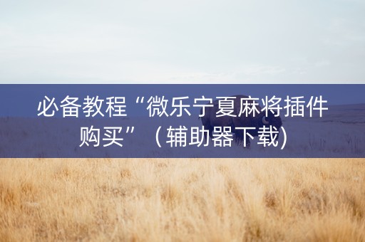 必备教程“微乐宁夏麻将插件购买”（辅助器下载)