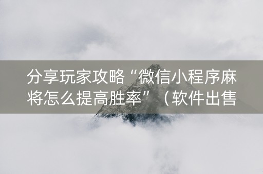 分享玩家攻略“微信小程序麻将怎么提高胜率”（软件出售)