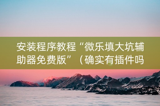 安装程序教程“微乐填大坑辅助器免费版”（确实有插件吗)