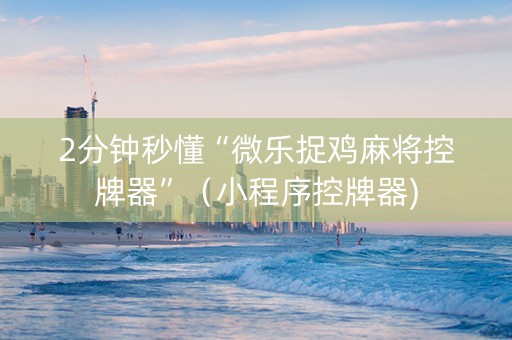 2分钟秒懂“微乐捉鸡麻将控牌器”（小程序控牌器)