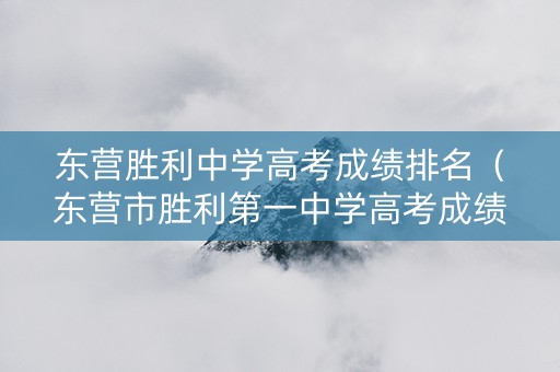 东营胜利中学高考成绩排名（东营市胜利第一中学高考成绩）