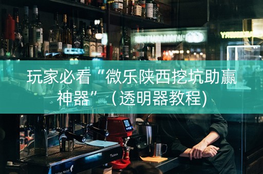 玩家必看“微乐陕西挖坑助赢神器”（透明器教程)