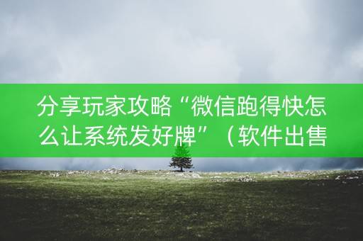 分享玩家攻略“微信跑得快怎么让系统发好牌”（软件出售)