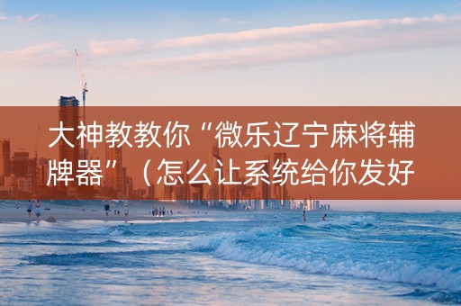 大神教教你“微乐辽宁麻将辅牌器”（怎么让系统给你发好牌)