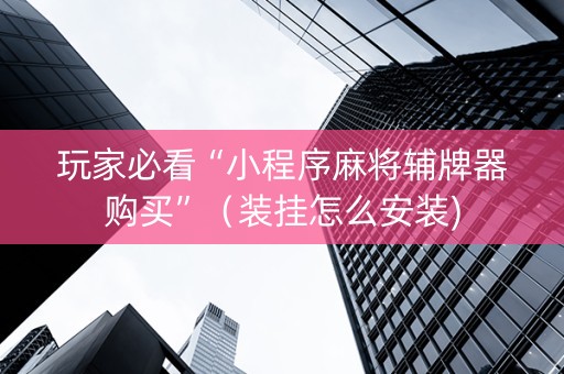玩家必看“小程序麻将辅牌器购买”（装挂怎么安装)