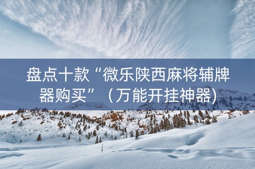 盘点十款“微乐陕西麻将辅牌器购买”（万能开挂神器)