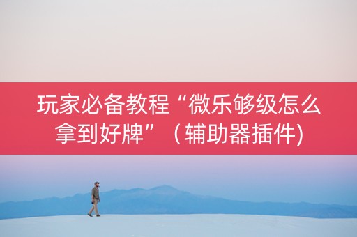 玩家必备教程“微乐够级怎么拿到好牌”（辅助器插件)