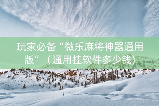 玩家必备“微乐麻将神器通用版”（通用挂软件多少钱)