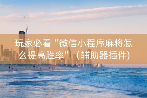 玩家必看“微信小程序麻将怎么提高胜率”（辅助器插件)