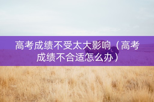 高考成绩不受太大影响（高考成绩不合适怎么办）