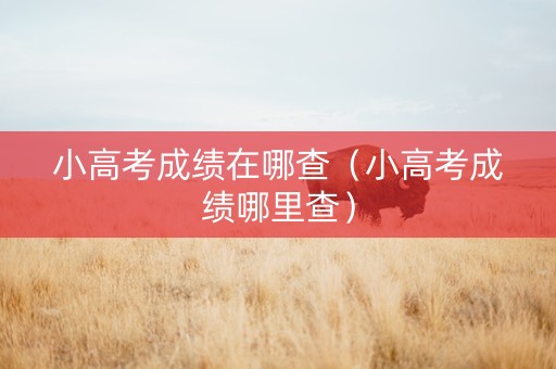 小高考成绩在哪查（小高考成绩哪里查）