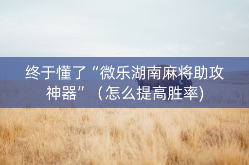 终于懂了“微乐湖南麻将助攻神器”（怎么提高胜率)