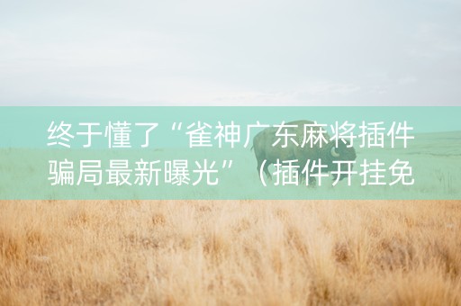 终于懂了“雀神广东麻将插件骗局最新曝光”（插件开挂免费AI)