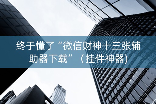 终于懂了“微信财神十三张辅助器下载”（挂件神器)