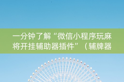 一分钟了解“微信小程序玩麻将开挂辅助器插件”（辅牌器插件购买)