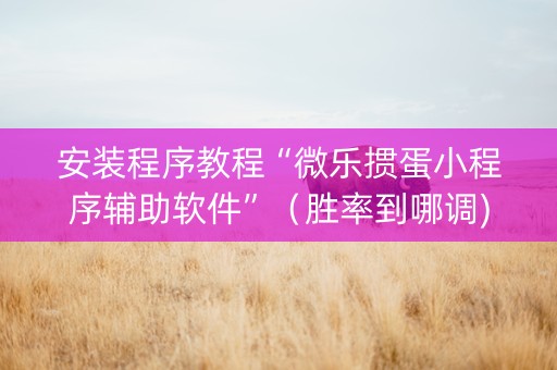 安装程序教程“微乐掼蛋小程序辅助软件”（胜率到哪调)