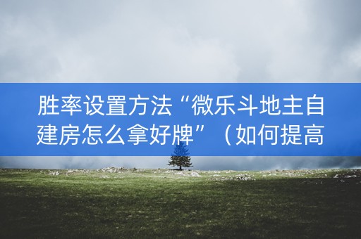 胜率设置方法“微乐斗地主自建房怎么拿好牌”（如何提高胜率)