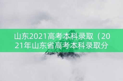 山东2021高考本科录取（2021年山东省高考本科录取分数线）