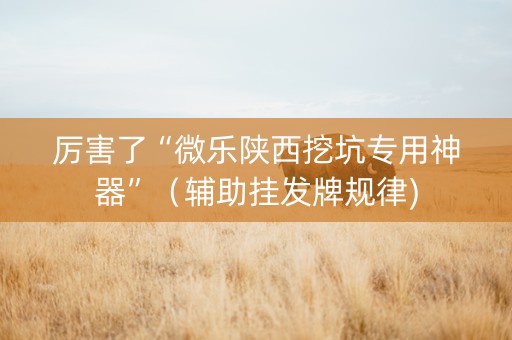 厉害了“微乐陕西挖坑专用神器”（辅助挂发牌规律)