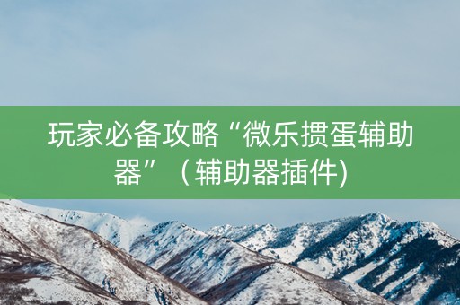 玩家必备攻略“微乐掼蛋辅助器”（辅助器插件)