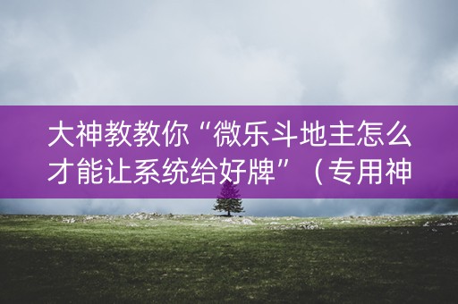 大神教教你“微乐斗地主怎么才能让系统给好牌”（专用神器下载)